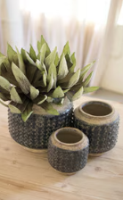 MD - Dark Blue Knobby Ceramic Pot