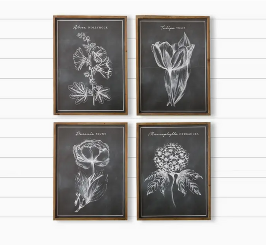 Chalk Style Botanical Wall Art - 4 STYLES