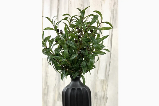 30" Olive Spray