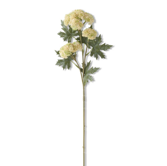28" Cream & Green Sedum Stem