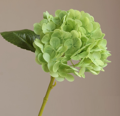 12.5" Real Touch Hydrangea Fresh Dark Green