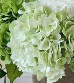 12.5" Real Touch Hydrangea Light Green