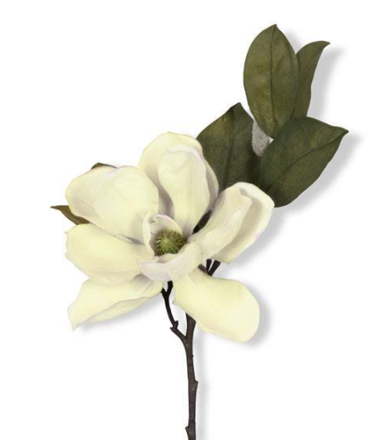 23" Cream & Green Magnolia Spray