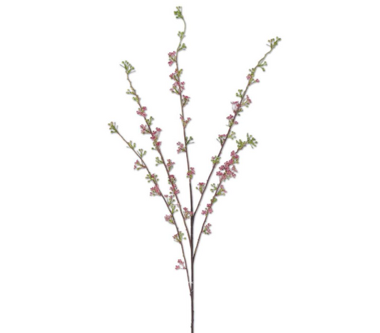 Pink Hoary Willow Spray