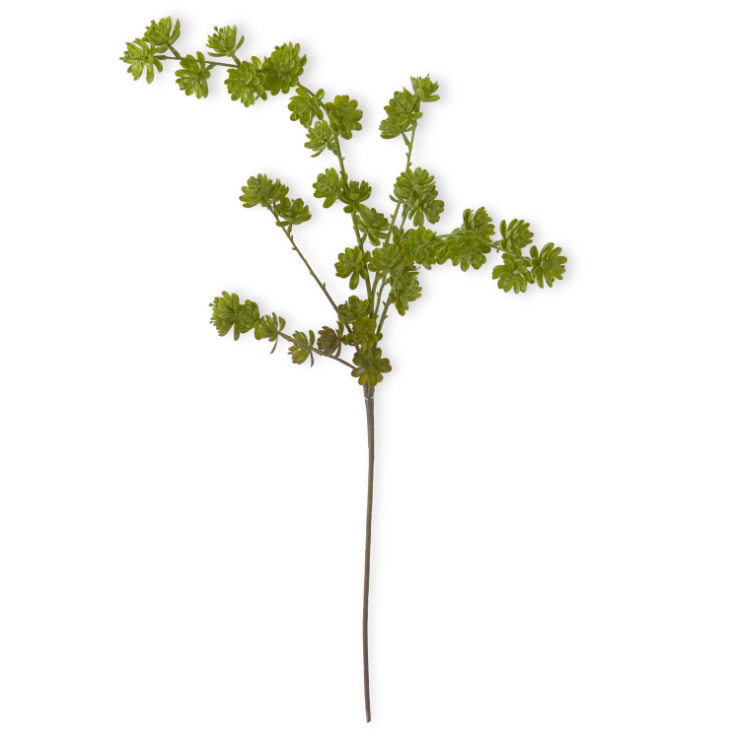 42 Inch Green Succulent Spray