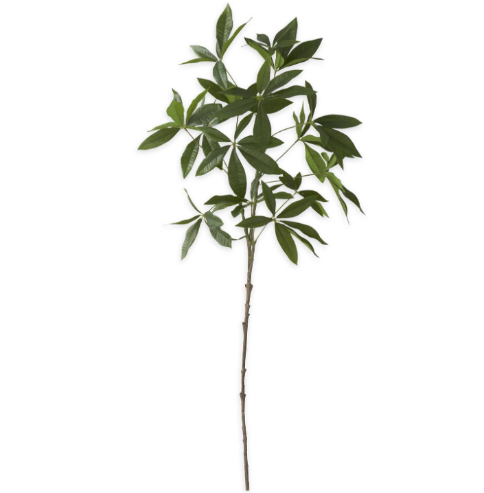 36 Inch Money Tree Branch