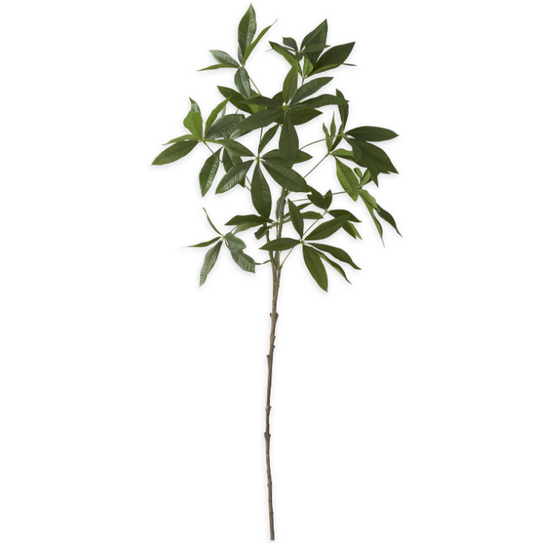 36 Inch Money Tree Branch