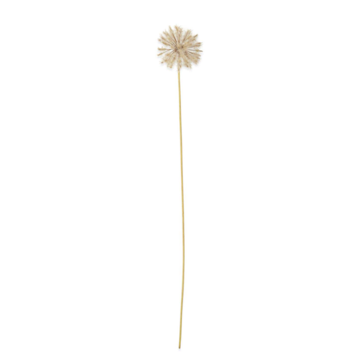 30 Inch Dandelion Stem