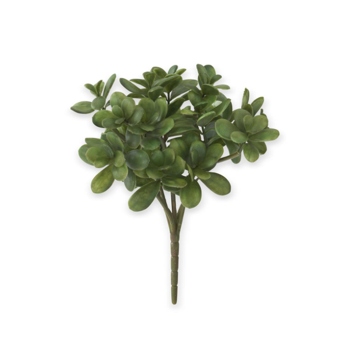11.5 Inch Jade Pick