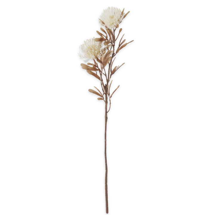 29.5 Inch White Spikey Cactus Dahlia Stem