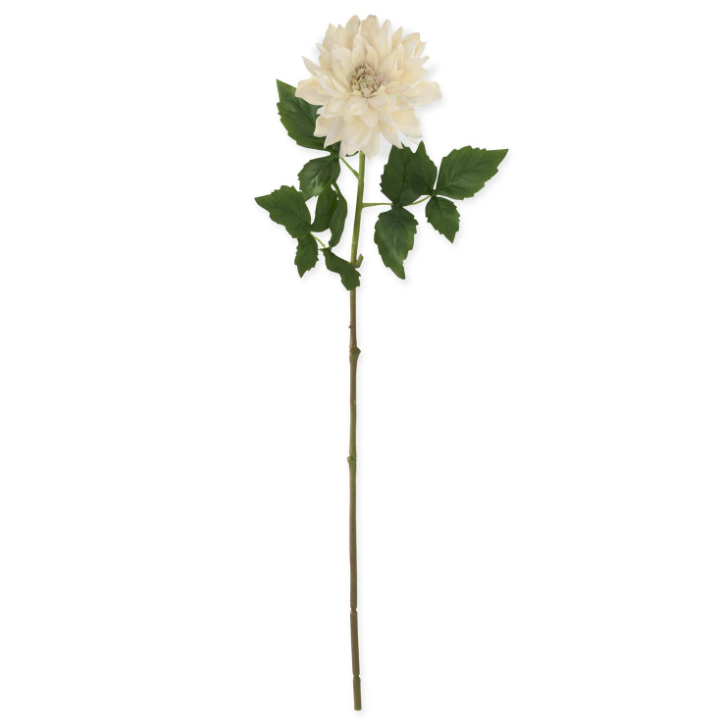 29 Inch Cream Real Touch Dahlia