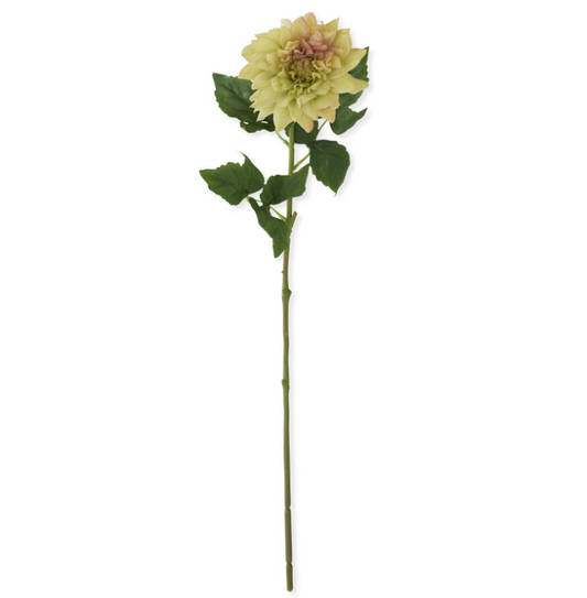 29 Inch Light Green w/Pink Real Touch Dahlia Stem
