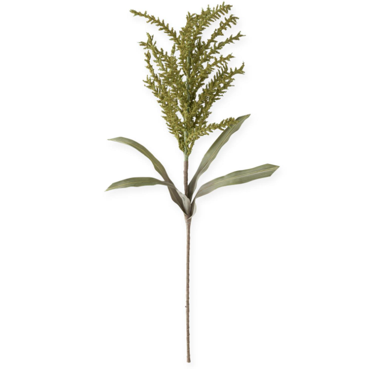 40" Green Seed Berry Eva Stem