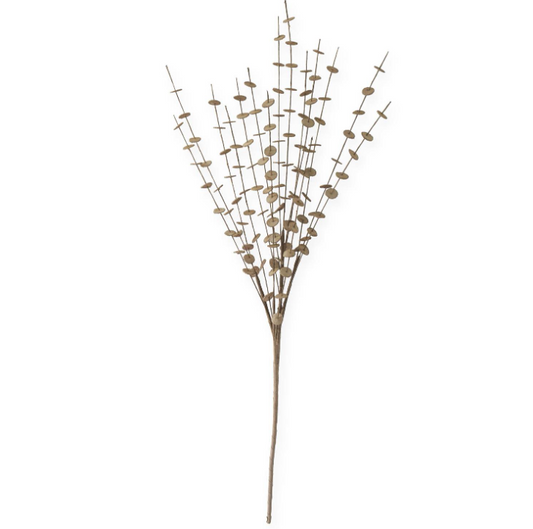 38" Brown Eva Button Spray