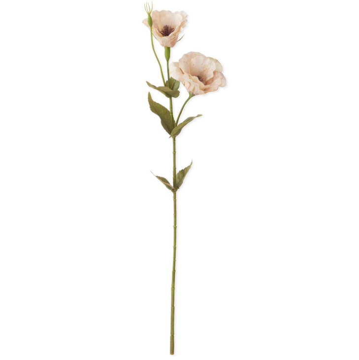 Real Touch Cream Bellflower