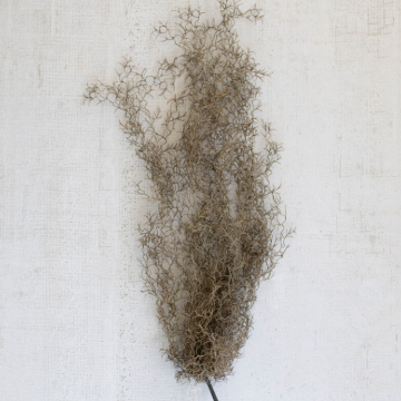 Artificial Grey Moss