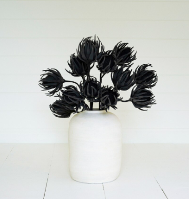 Black Botanica