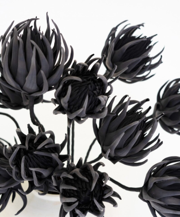 Black Botanica