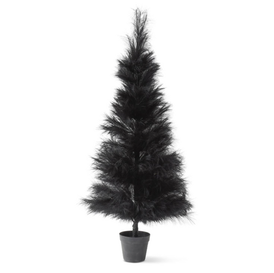 5' Black Pampas Grass Tree