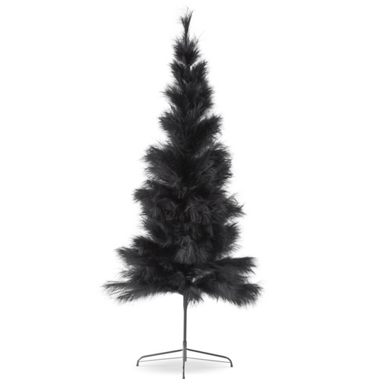 7.5' Black Pampas Grass Tree