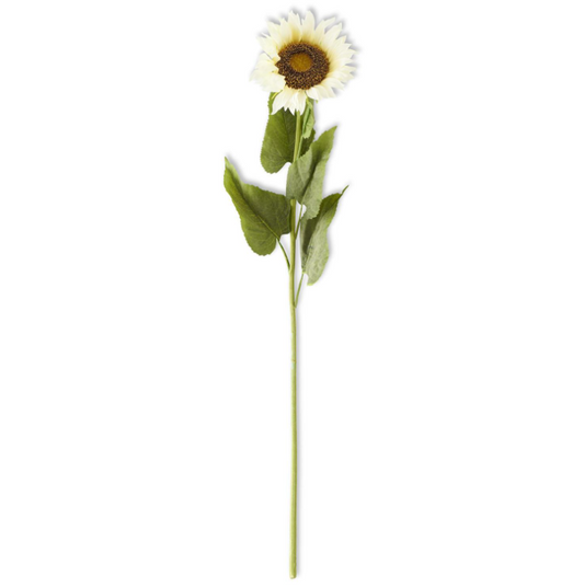Cream Sunflower Stem