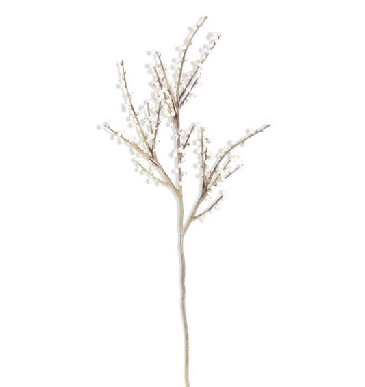White Berry Branch