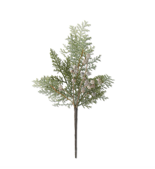Cedar & Berry Stem