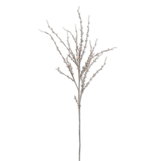 Icy Twig Branch