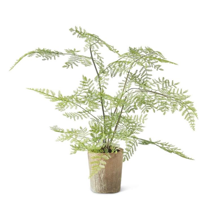 Faux Fern w/ Ceramic Pot