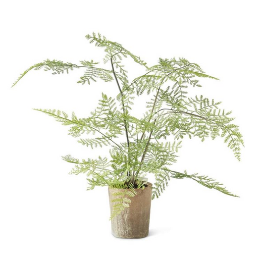 Faux Fern w/ Ceramic Pot
