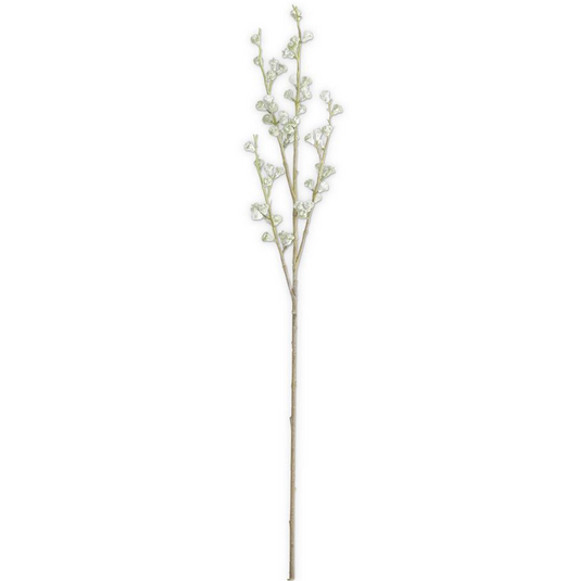 Powdered Green Eucalyptus Pod Stem