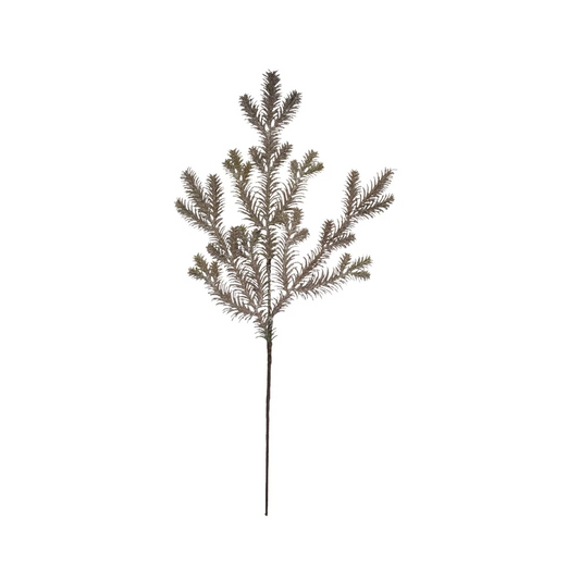 Champagne Pine Stem