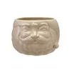 Santa Head Shaped Bottle Cooler/Container