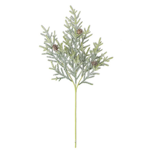25" Snowy Juniper Stem