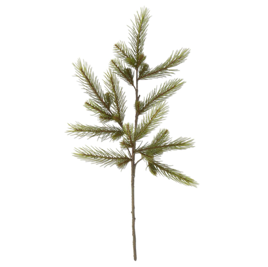 Green Pine Stem