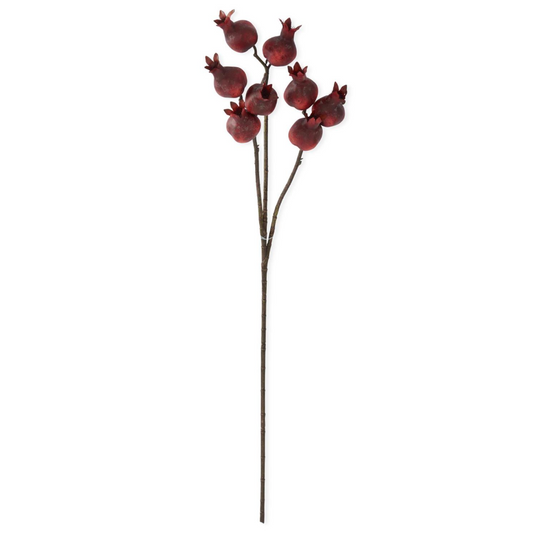 Burgundy Pomegranate Stem