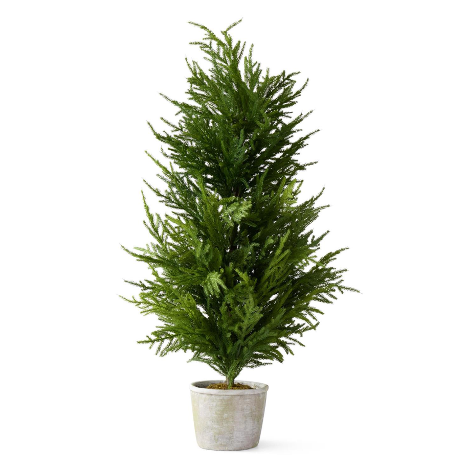 50" Norfolk Pine Tree w/ Stoneware Pot