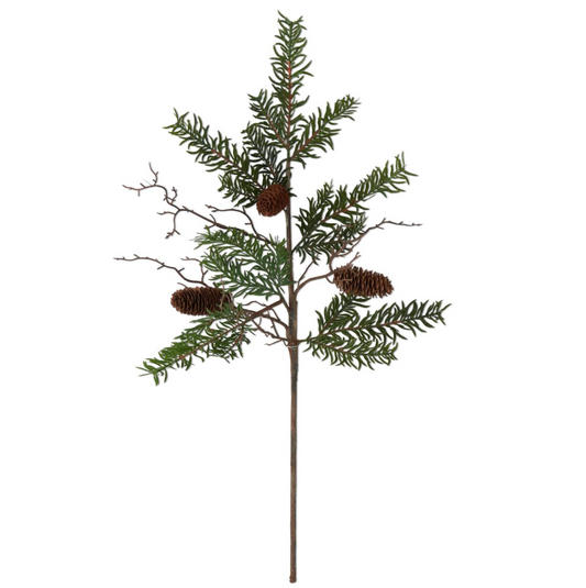 Pine Stem w/Pinecones