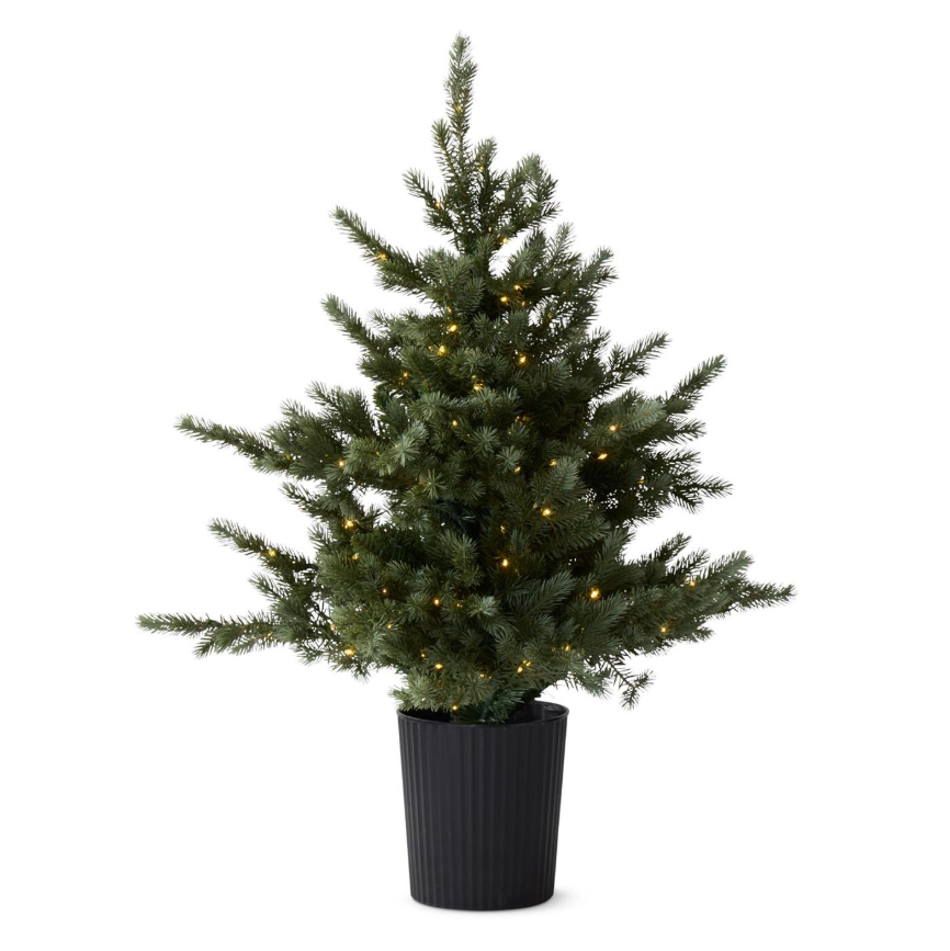 36" LED Pine Tree in Black Pot