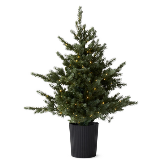 36" LED Pine Tree in Black Pot