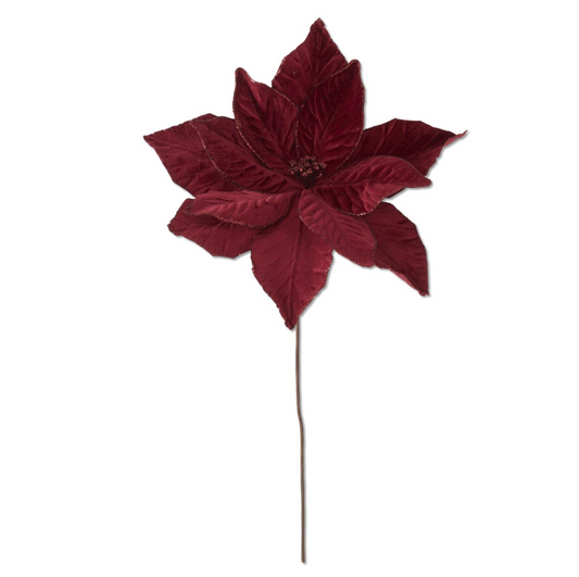 Red Poinsettia Stem