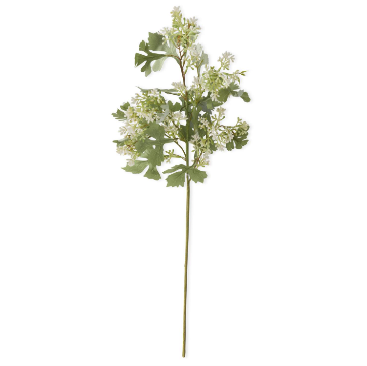 White Berry Salt Bush Spray