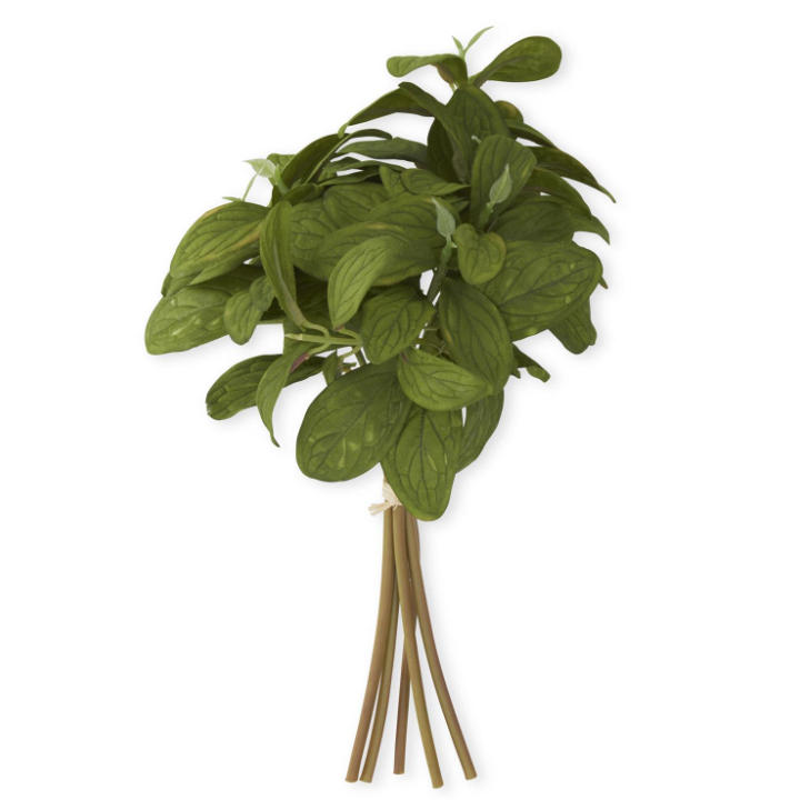 Basil Bundle