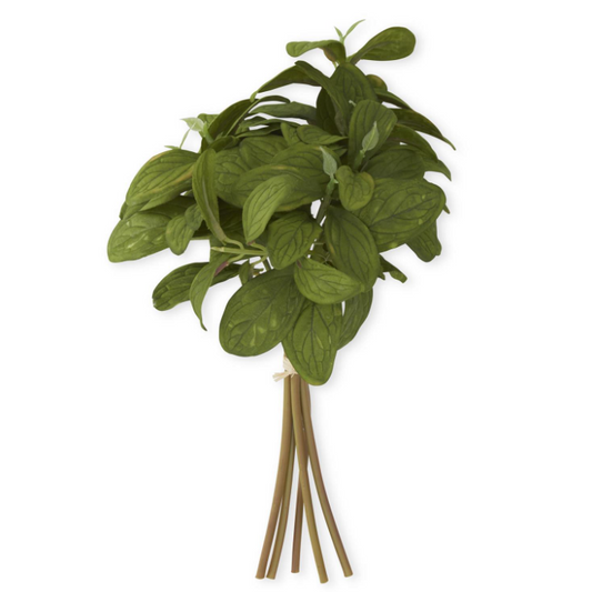 Basil Bundle