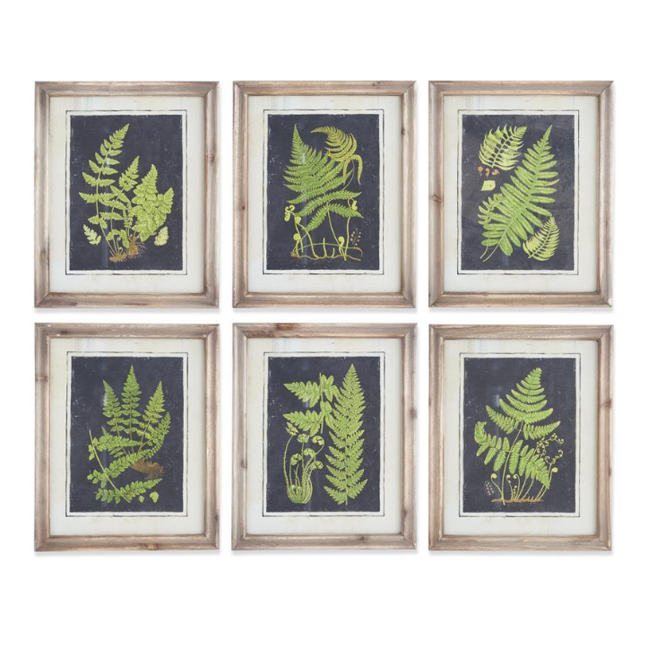 Natural Wood Framed Fern Print - 6 STYLES
