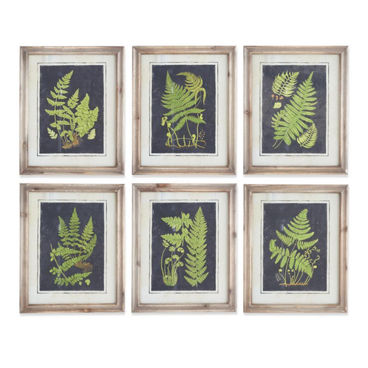 Natural Wood Framed Fern Print - 6 STYLES