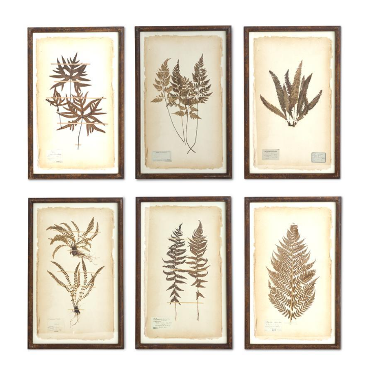 Metal Framed Dried Fern Wall Art - 6 STYLES