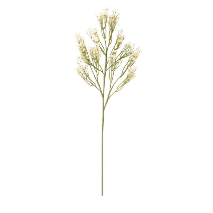 Cream Babys Breath Spray