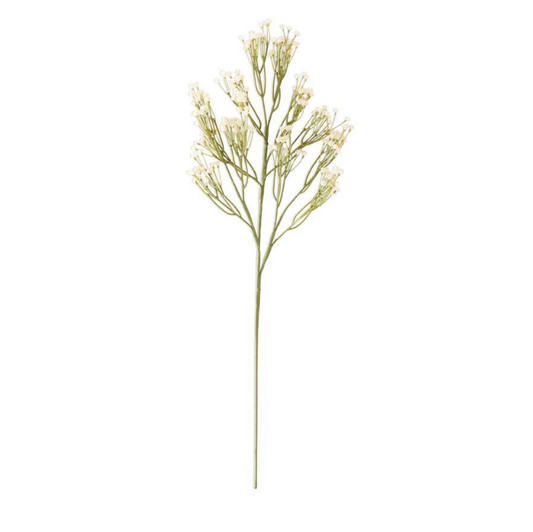 Cream Babys Breath Spray