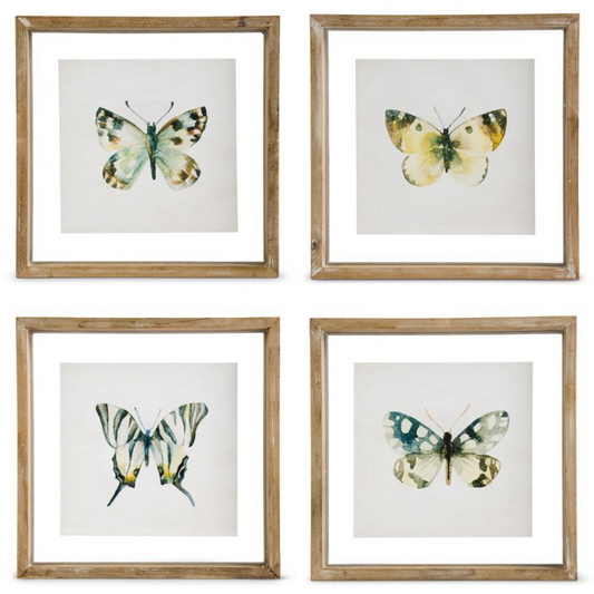 Shadowbox Framed Butterfly Print